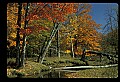 02256-00223-Spruce Knob National Recreation Area-Monongahela National Forest.jpg