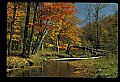 02256-00224-Spruce Knob National Recreation Area-Monongahela National Forest.jpg