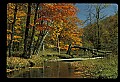 02256-00225-Spruce Knob National Recreation Area-Monongahela National Forest.jpg