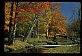 02256-00226-Spruce Knob National Recreation Area-Monongahela National Forest.jpg