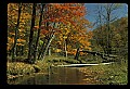 02256-00227-Spruce Knob National Recreation Area-Monongahela National Forest.jpg