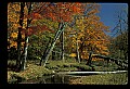 02256-00230-Spruce Knob National Recreation Area-Monongahela National Forest.jpg