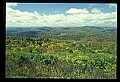 02256-00234-Spruce Knob National Recreation Area-Monongahela National Forest.jpg