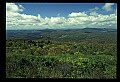 02256-00235-Spruce Knob National Recreation Area-Monongahela National Forest.jpg