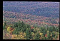 02256-00237-Spruce Knob National Recreation Area-Monongahela National Forest.jpg