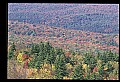 02256-00238-Spruce Knob National Recreation Area-Monongahela National Forest.jpg