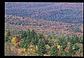 02256-00239-Spruce Knob National Recreation Area-Monongahela National Forest.jpg