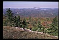 02256-00240-Spruce Knob National Recreation Area-Monongahela National Forest.jpg