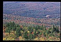 02256-00246-Spruce Knob National Recreation Area-Monongahela National Forest.jpg