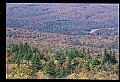 02256-00247-Spruce Knob National Recreation Area-Monongahela National Forest.jpg