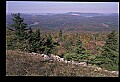 02256-00249-Spruce Knob National Recreation Area-Monongahela National Forest.jpg