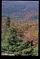 02256-00250-Spruce Knob National Recreation Area-Monongahela National Forest.jpg