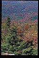 02256-00251-Spruce Knob National Recreation Area-Monongahela National Forest.jpg