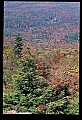 02256-00252-Spruce Knob National Recreation Area-Monongahela National Forest.jpg