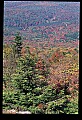 02256-00253-Spruce Knob National Recreation Area-Monongahela National Forest.jpg