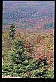 02256-00254-Spruce Knob National Recreation Area-Monongahela National Forest.jpg