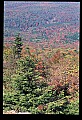 02256-00254-Spruce Knob National Recreation Area-Monongahela National Forest.jpg