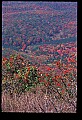 02256-00255-Spruce Knob National Recreation Area-Monongahela National Forest.jpg