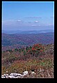 02256-00257-Spruce Knob National Recreation Area-Monongahela National Forest.jpg