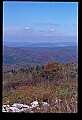 02256-00258-Spruce Knob National Recreation Area-Monongahela National Forest.jpg