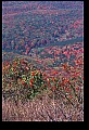 02256-00263-Spruce Knob National Recreation Area-Monongahela National Forest.jpg
