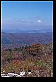 02256-00269-Spruce Knob National Recreation Area-Monongahela National Forest.jpg
