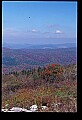 02256-00271-Spruce Knob National Recreation Area-Monongahela National Forest.jpg
