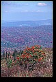 02256-00272-Spruce Knob National Recreation Area-Monongahela National Forest.jpg