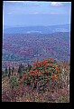 02256-00273-Spruce Knob National Recreation Area-Monongahela National Forest.jpg