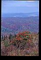 02256-00274-Spruce Knob National Recreation Area-Monongahela National Forest.jpg