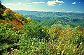 1-6-07-00161 Spruce Knob Overlook-fall.jpg