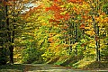 1-6-07-00164 monongahela national forest-fall color.jpg