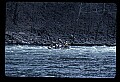 20900-00117-Whitewater Rafting, WV.jpg