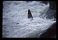 20900-00128-Whitewater Rafting, WV.jpg