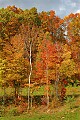 DSC_0751 mount hope fall color.jpg