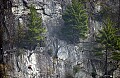 DSC_1545 climber--seneca rocks.jpg