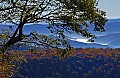 DSC_1757 fall color highland scenic highway.jpg