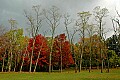 DSC_4787 blackwater falls fall color.jpg