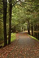 DSC_5000 blackwater falls overlook walkway.jpg