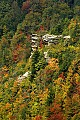 DSC_5004 blackwater canyon fall color.jpg