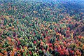 DSC_5539 fall color aerial near Route 93-Thomas.jpg