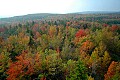 DSC_5692 fall color dolly sods area.jpg