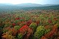 DSC_5704 fall color--dolly sods area.jpg