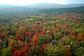 DSC_5706 Fall color--Dolly Sods Area.jpg