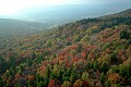 DSC_5751 fall color.jpg