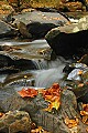 DSC_7822 glade creek working.jpg