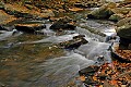 DSC_7824 glade creek.jpg