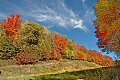 DSC_8636 fall color highland scenic highway.jpg