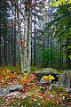 _MG_1913 loop road-canaan valley.jpg