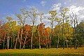 _MG_2045 fall color, blackwater falls state park.jpg